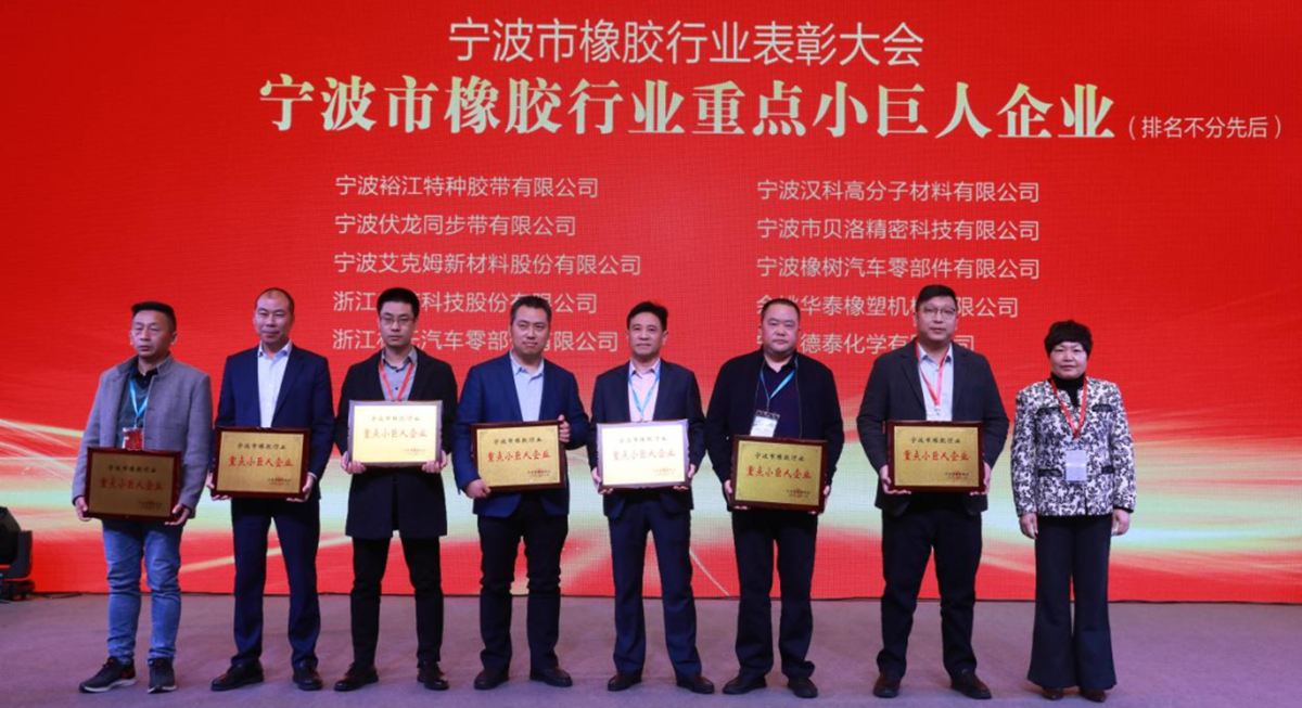 喜报 - J9直营集团荣获&ldquo;宁波市橡胶行业优秀企业家&rdquo;、&ldquo;宁波市橡胶行业诚信企业&rdquo;、&ldquo;宁波市橡胶行业重点小巨人企业&rdquo;奖项！