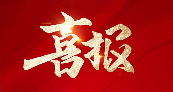 J9直营集团荣获&ldquo;2024年度东莞市导入卓越绩效管理优秀单位&rdquo; 称号